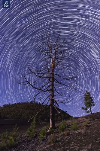"CENTRIFUGADO", 11mm, f/2.8, 30 segundos, ISO 1600, startrails compuesto por 78 tomas.