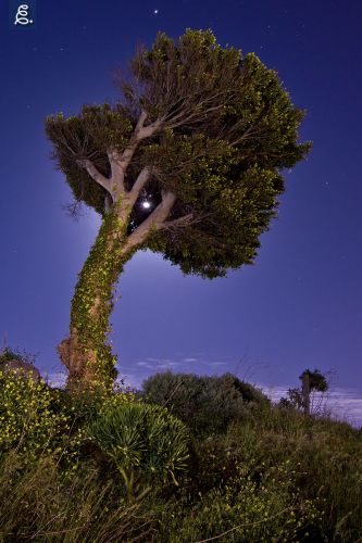 "ENREDADO CON LA LUNA", 14mm, f/5.6, 30 segundos, ISO 200, flash.