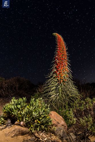 "RESPÉTAME", 11mm, f/4.5, 79 segundos, ISO 800, Maglite Solitaire.