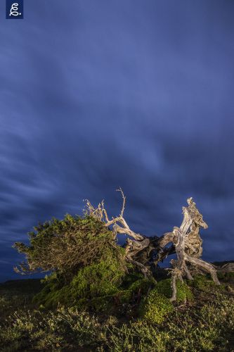 "SABINA II", 11mm, f/2.8, 120 segundos, ISO 400, mini Maglite cálida.